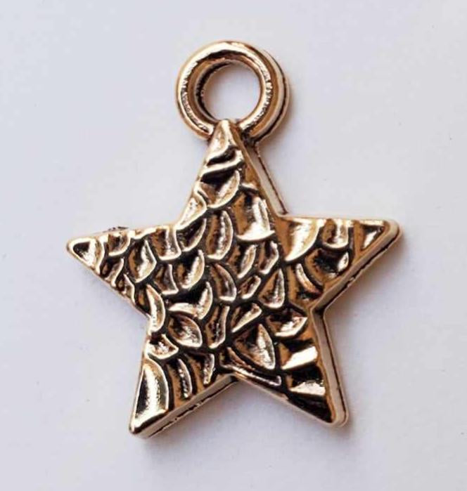 ASSORTED STAR CHARM